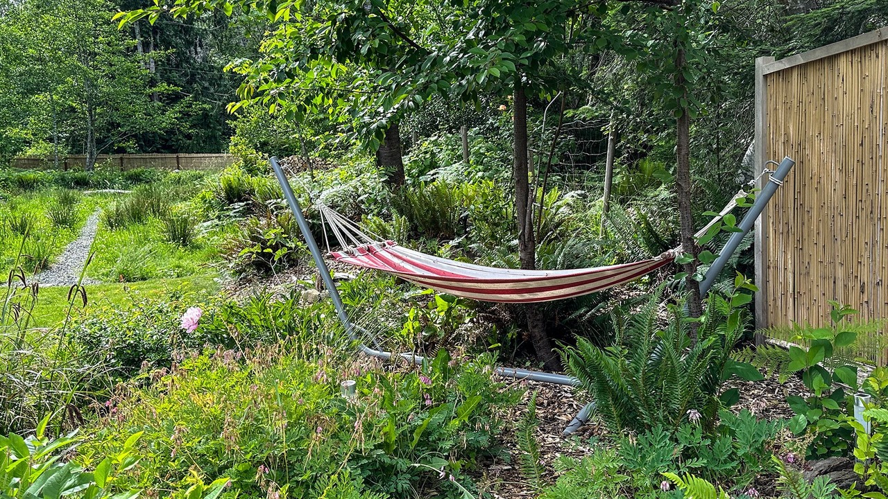 Photo of Outdoor in Denman Island