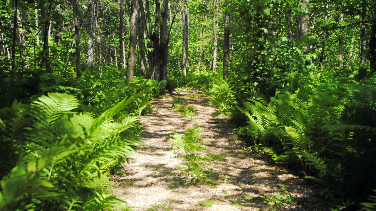 Photo of Outdoor in Pont-Rouge