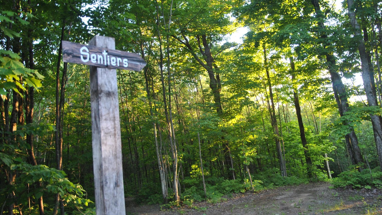 Photo of Outdoor in Pont-Rouge