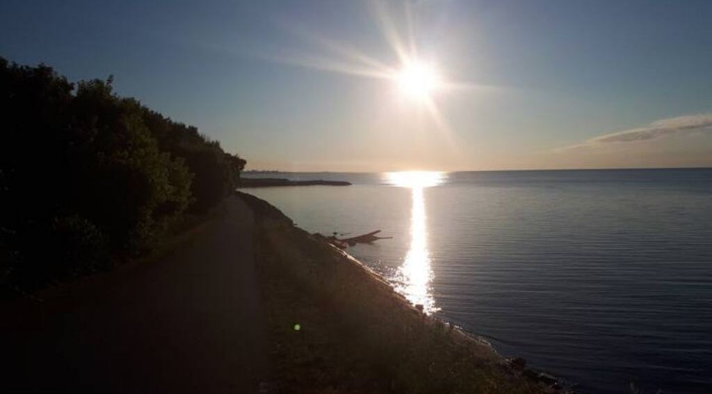 Photo of Others in Port Union