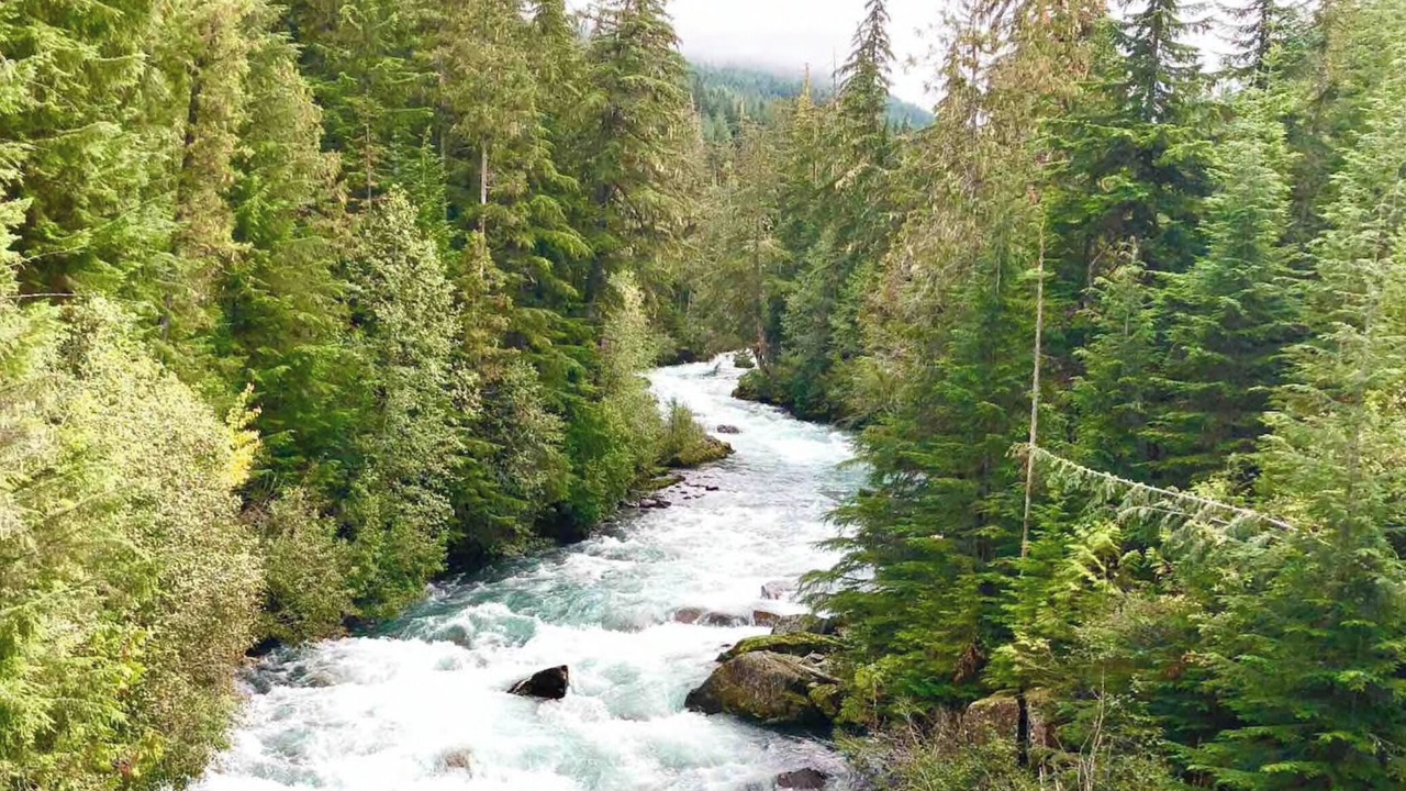 Photo of Outdoor in Whistler Creekside