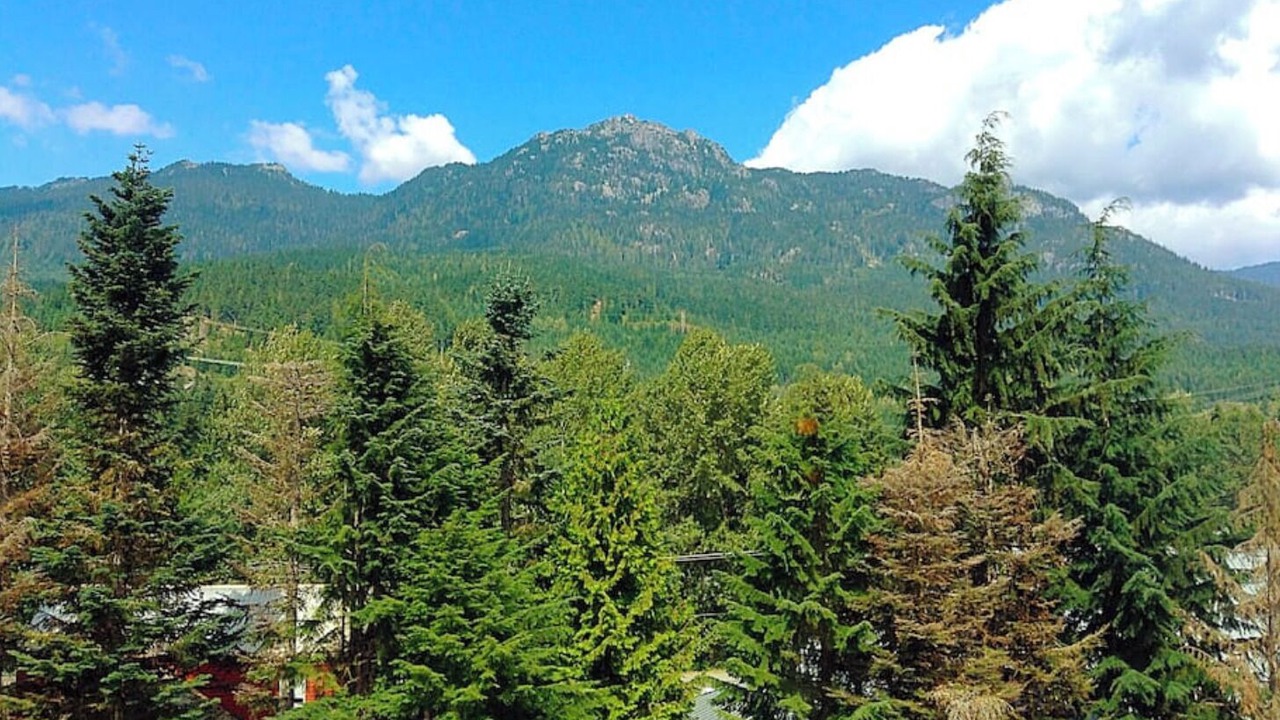 Photo of Others in Whistler Creekside