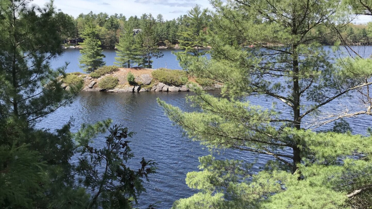 Photo of Others in Gravenhurst