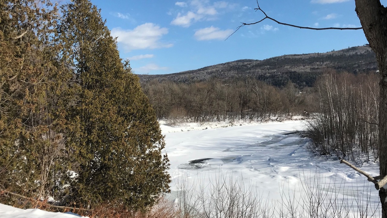 Photo of Others in Baie-St-Paul