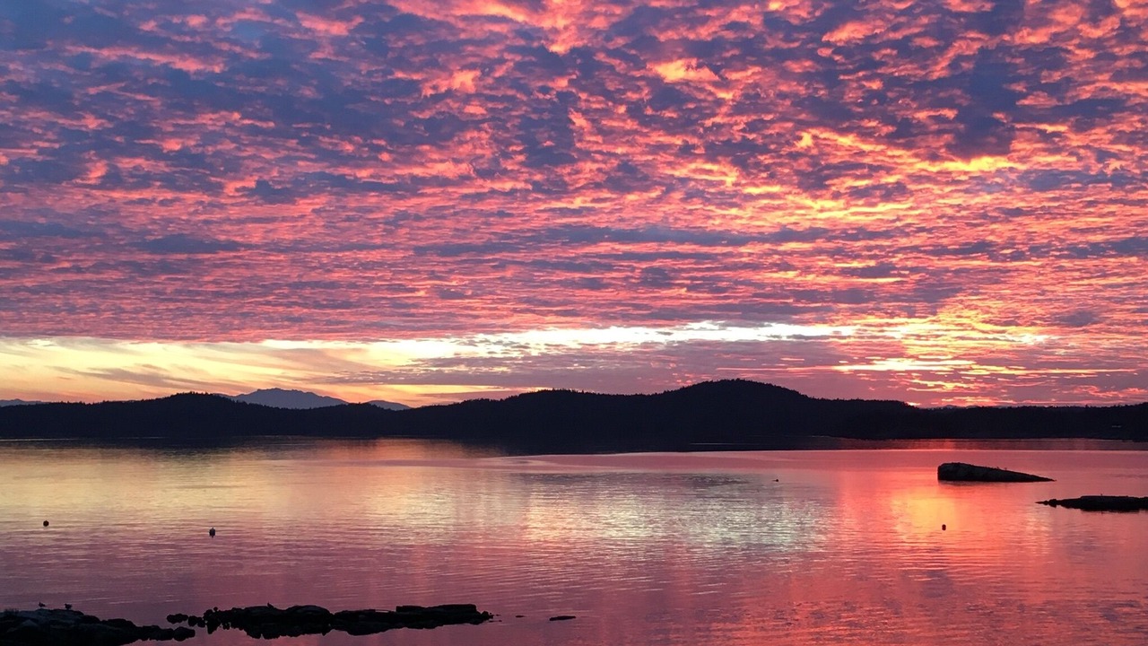 Photo of Others in Halfmoon Bay