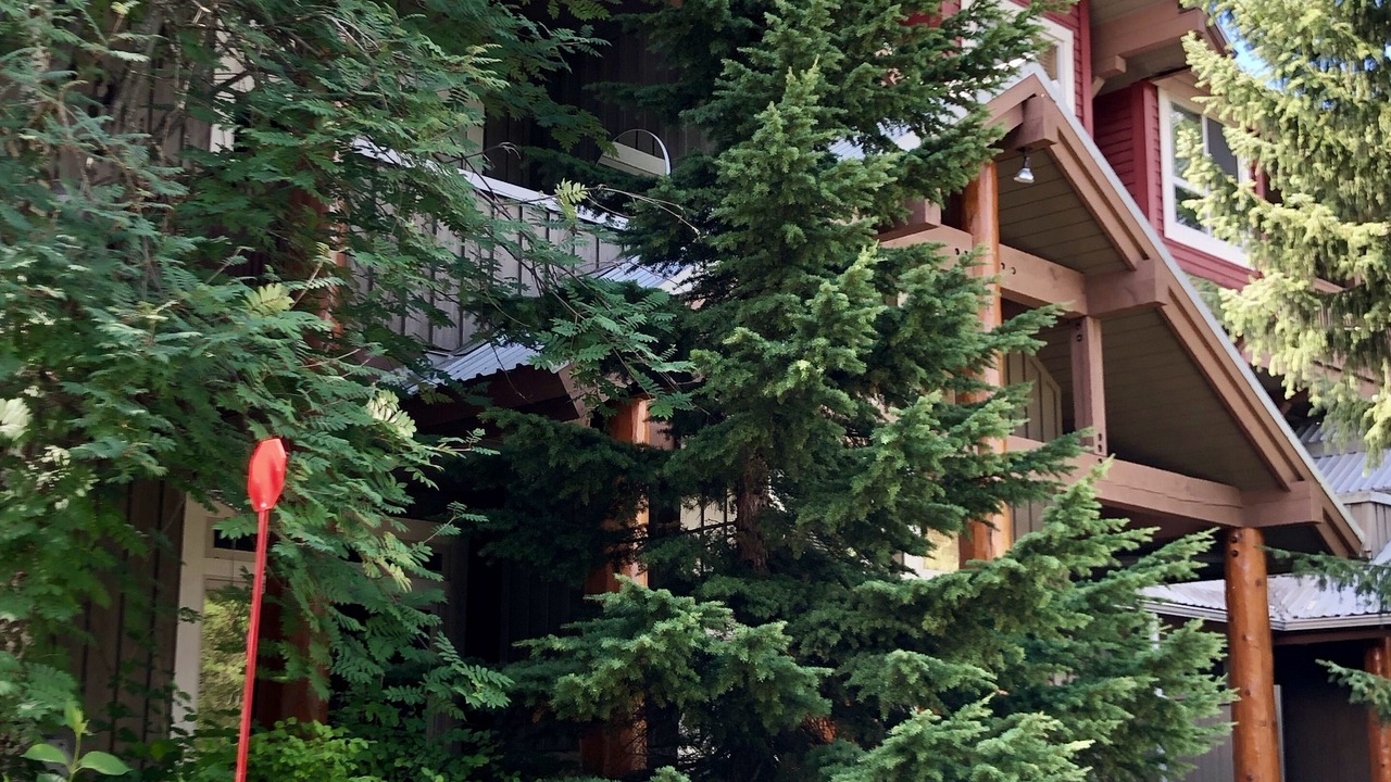Photo of Outdoor in Village North