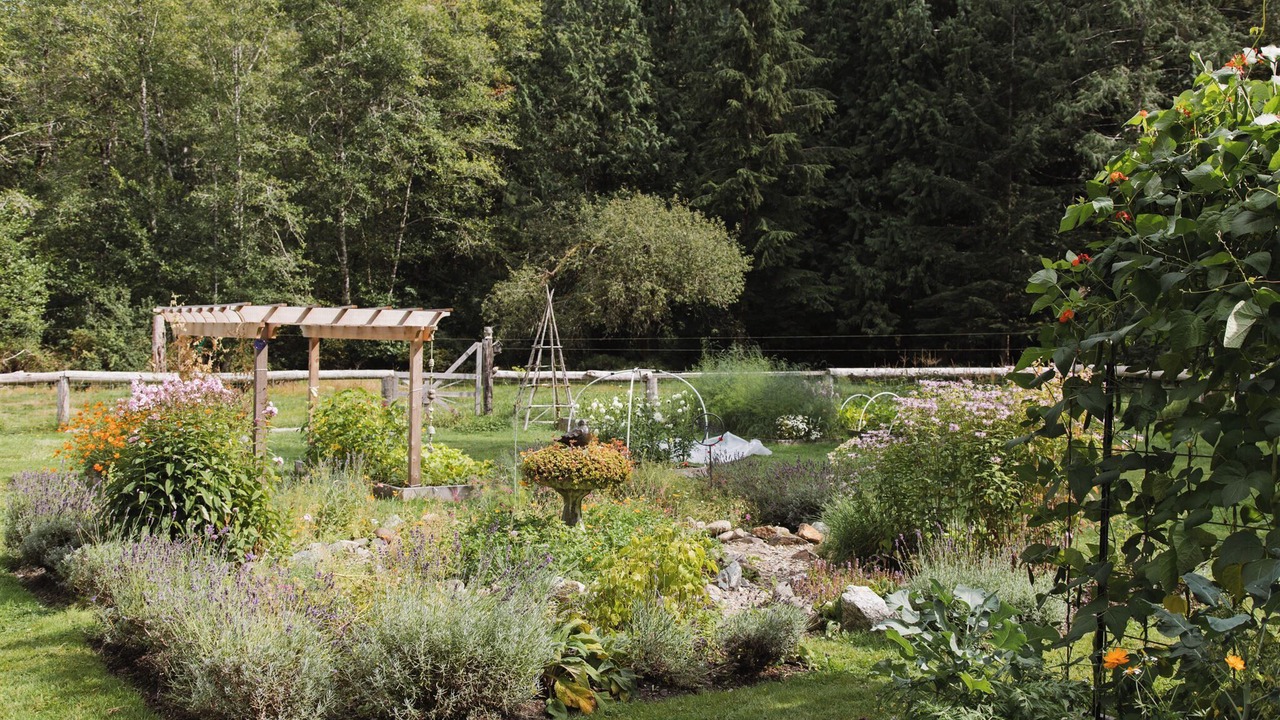 Photo of Outdoor in East Thurlow Island