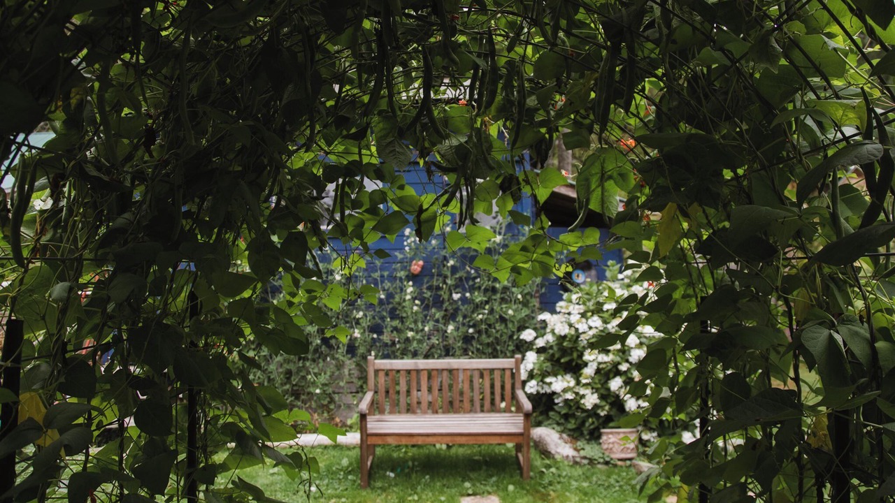 Photo of Outdoor in East Thurlow Island
