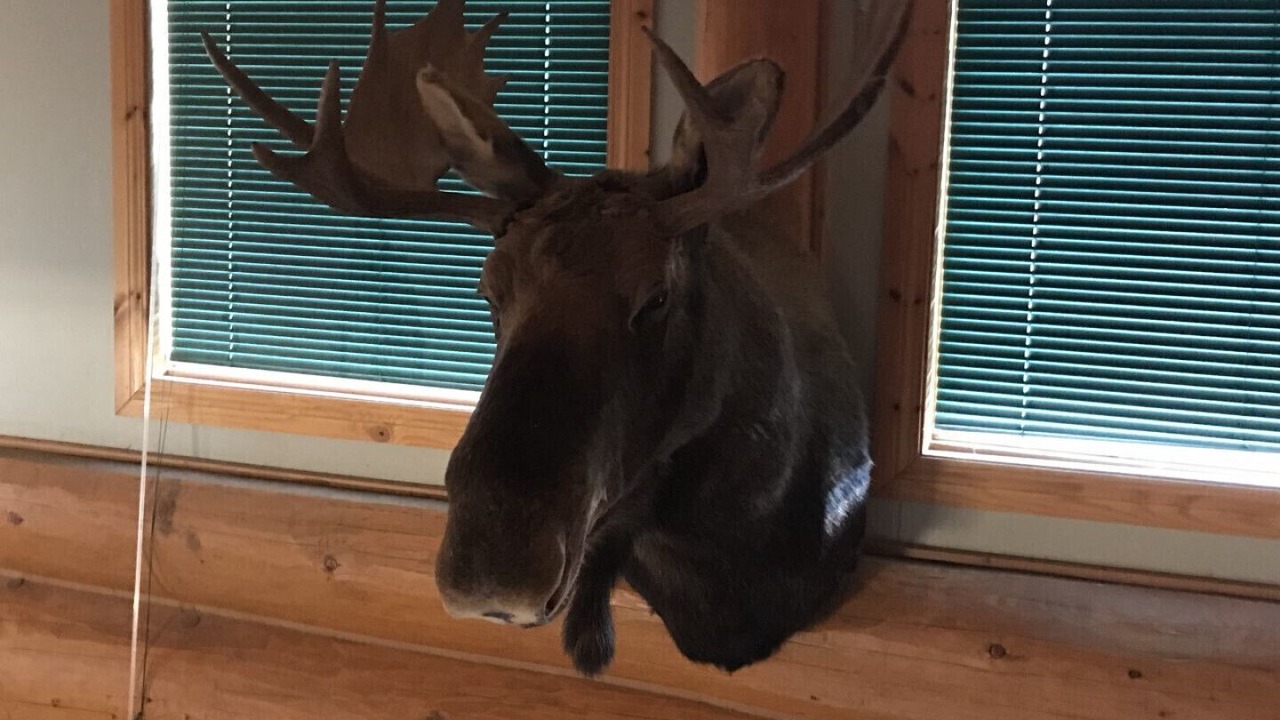 Photo of Others in Golden