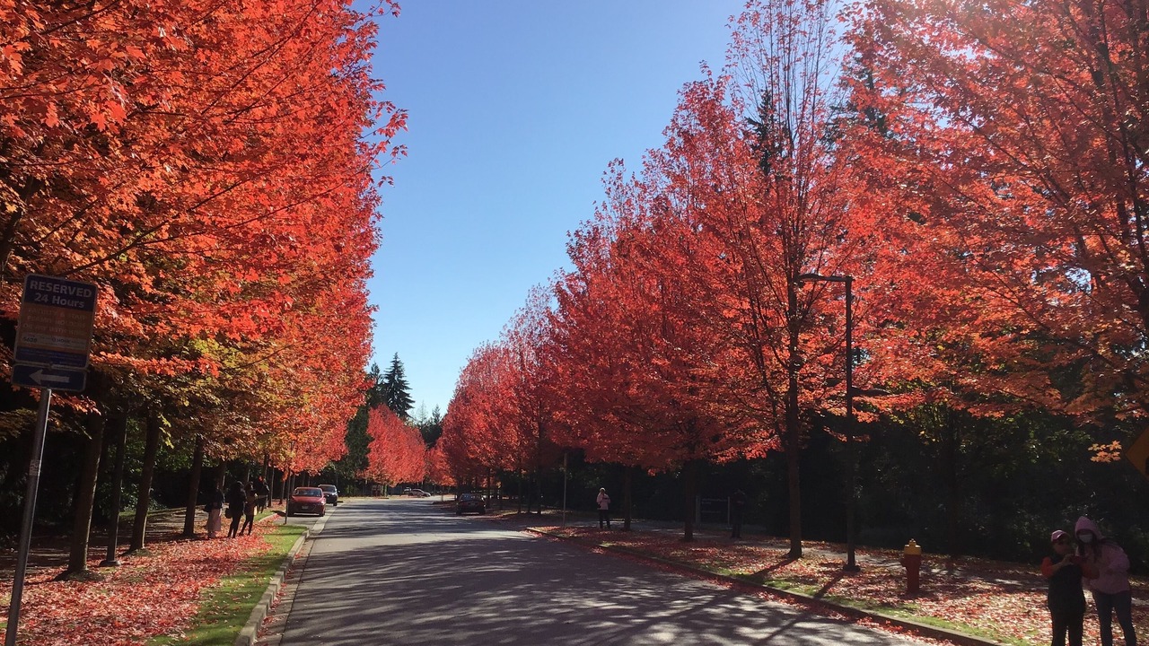 Photo of Outdoor in Vancouver