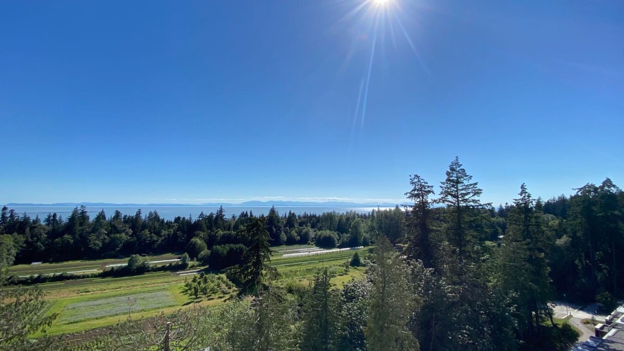 Photo of Others in Vancouver