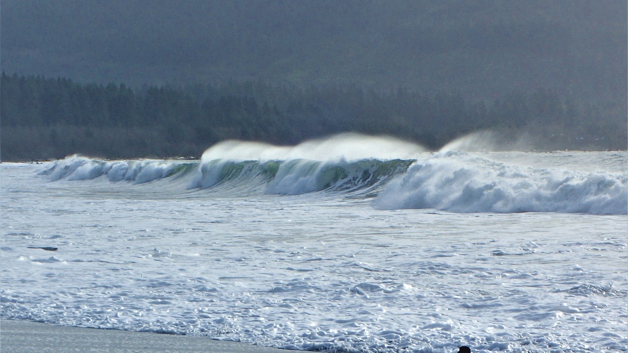 Photo of Others in Port Renfrew