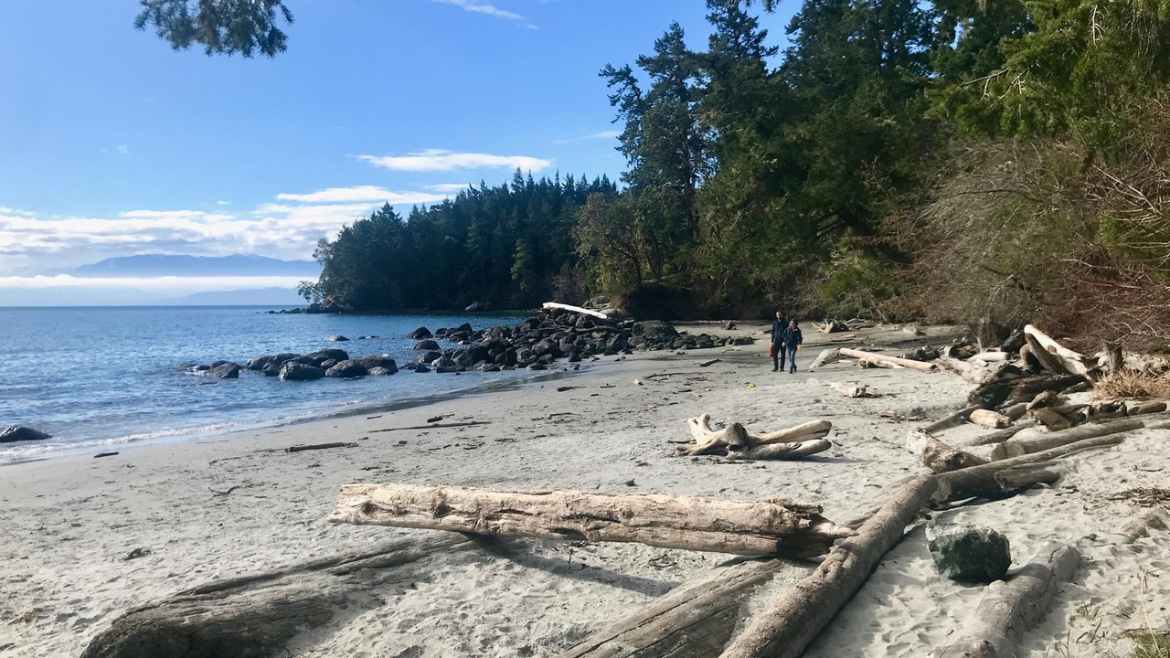Photo of Others in Sooke