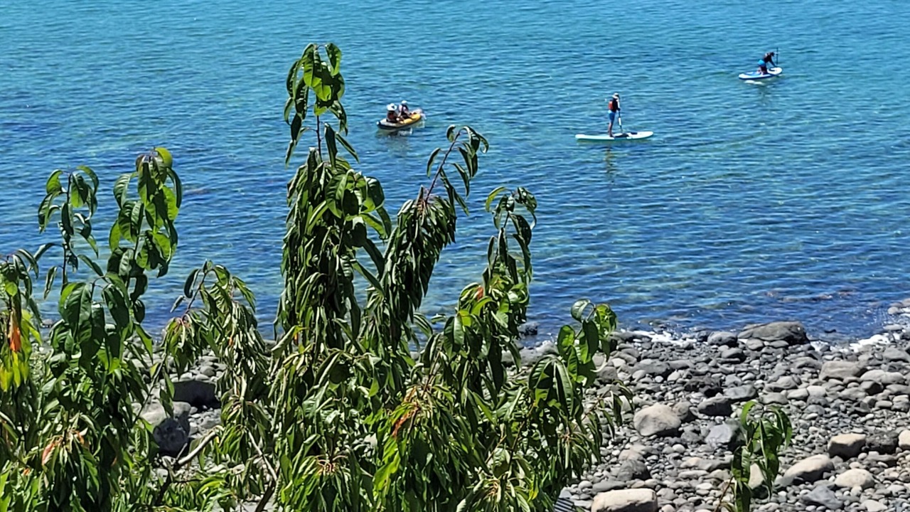 Photo of Others in Gillies Bay