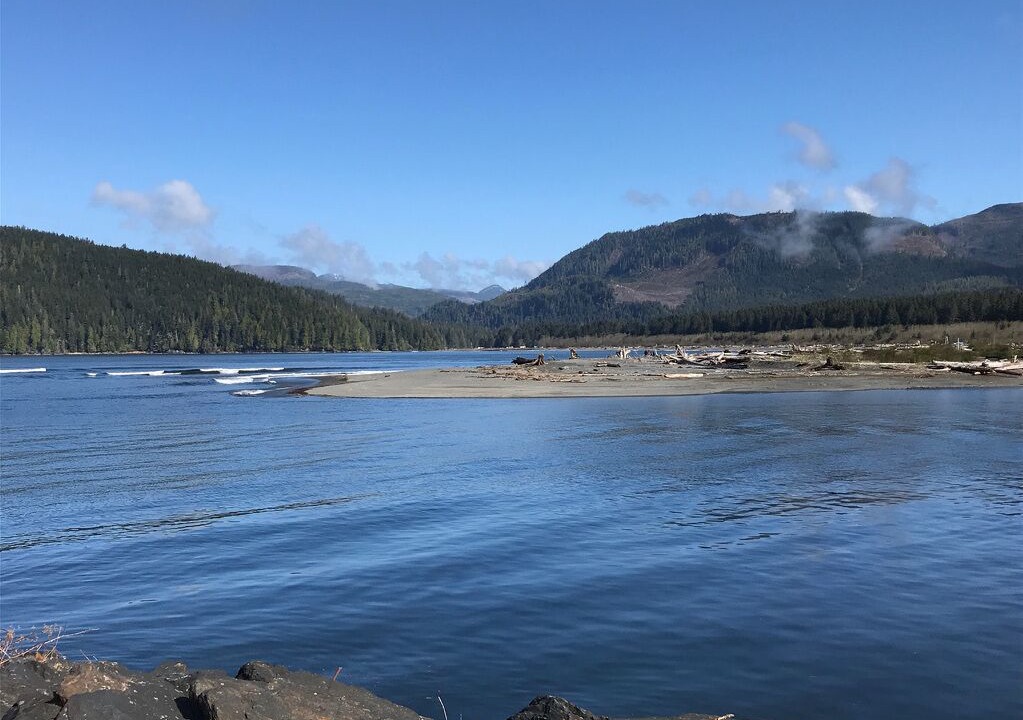 Photo of Others in Port Renfrew