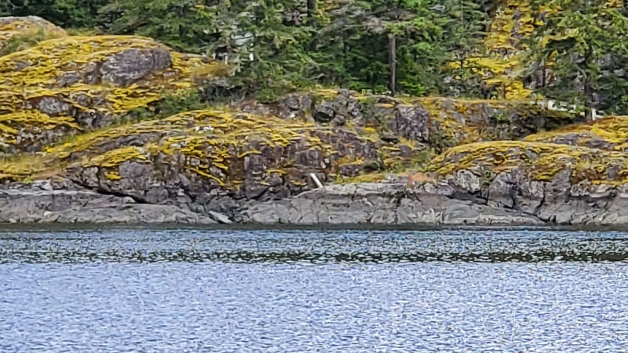 Photo of Others in Quadra Island