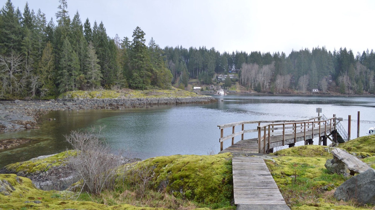 Photo of Outdoor in Quadra Island