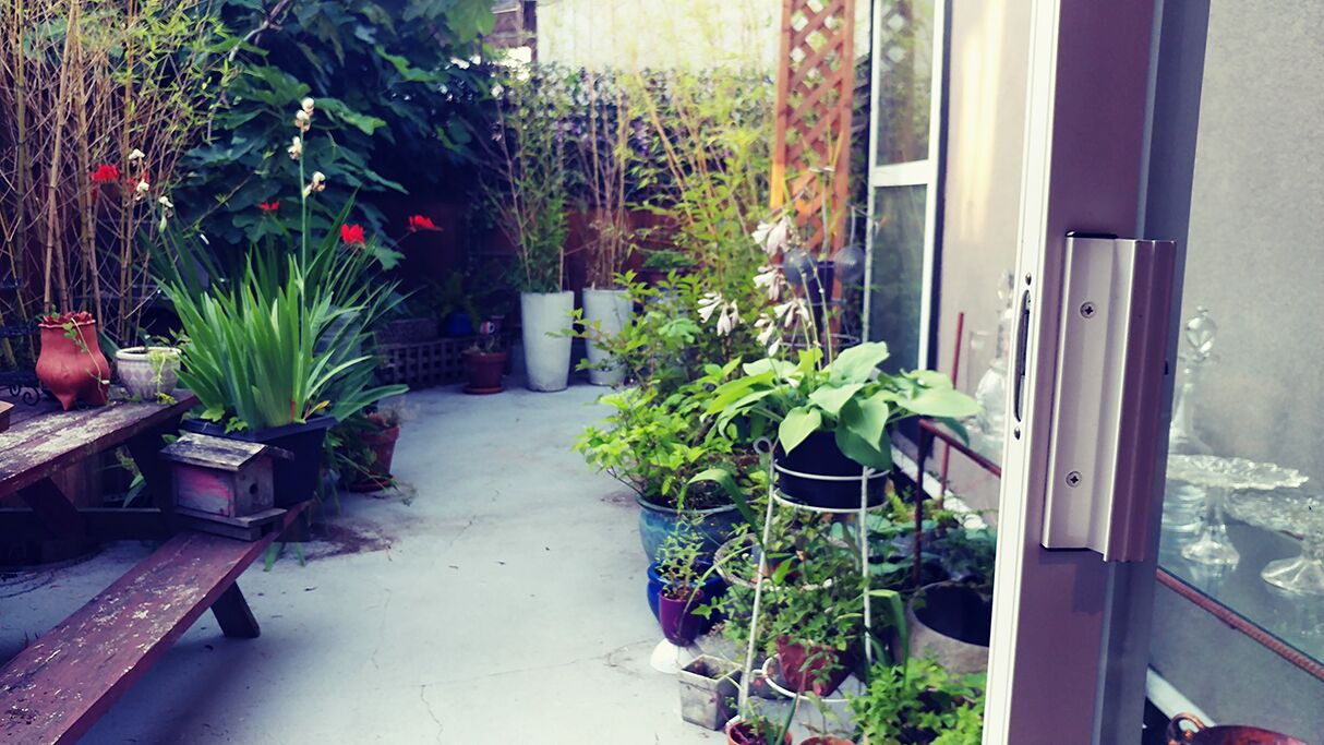 Photo of Outdoor in Kitsilano