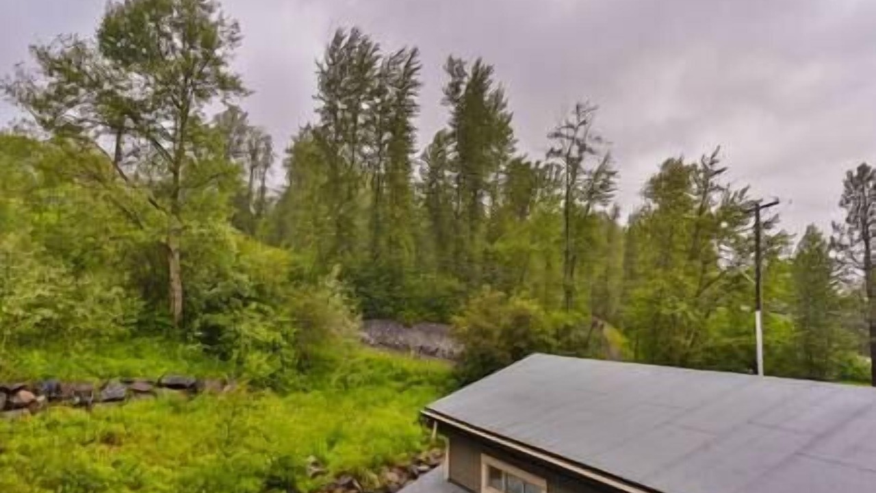 Photo of Outdoor in Fernie