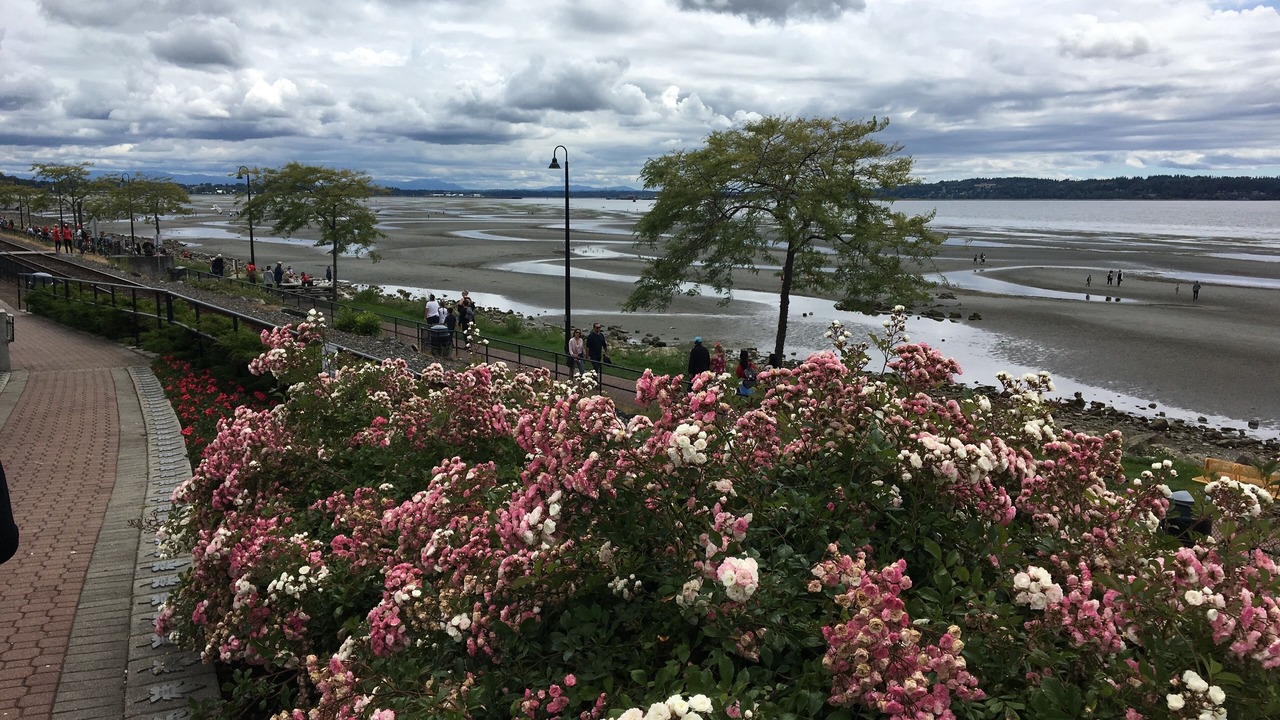Photo of Outdoor in White Rock