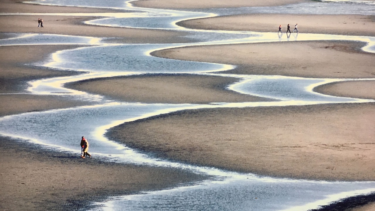 Photo of Others in White Rock