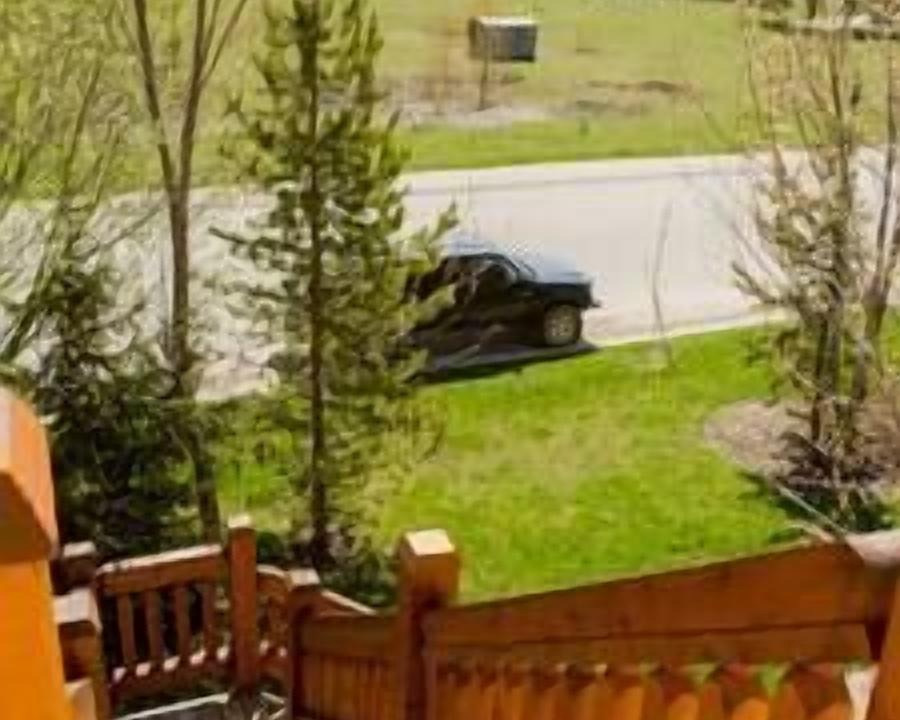 Photo of Outdoor in Fernie