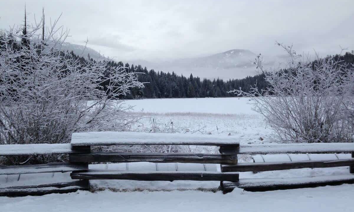 Photo of Outdoor in Blackcomb