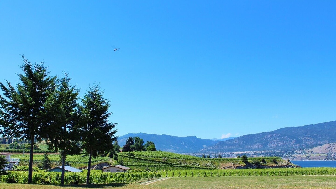 Photo of Others in Okanagan-Similkameen