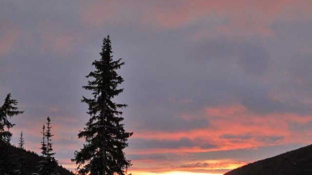 Photo of Others in Apex Mountain