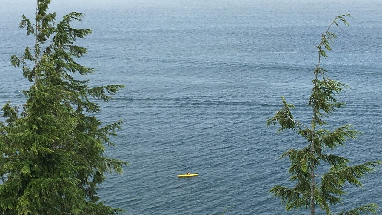 Photo of Others in Port Renfrew