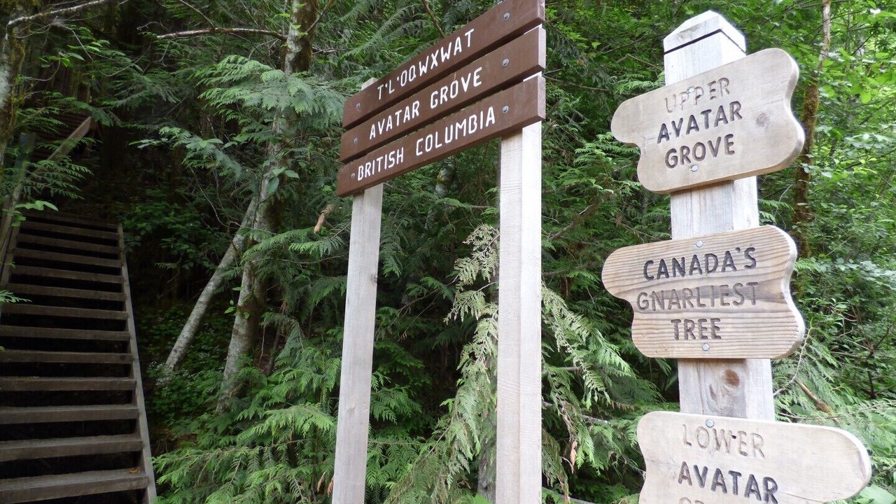 Photo of Others in Port Renfrew