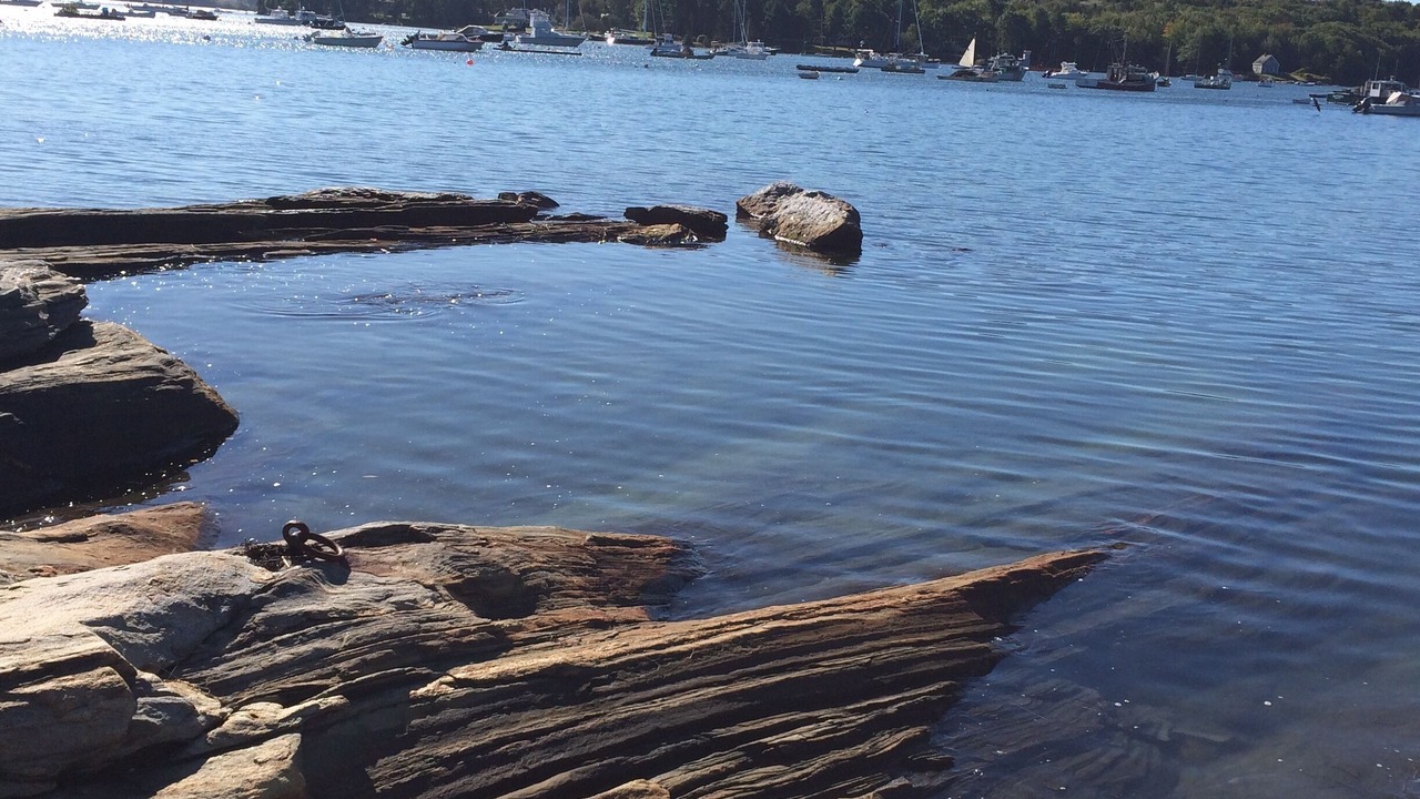 Photo of Others in Round Pond