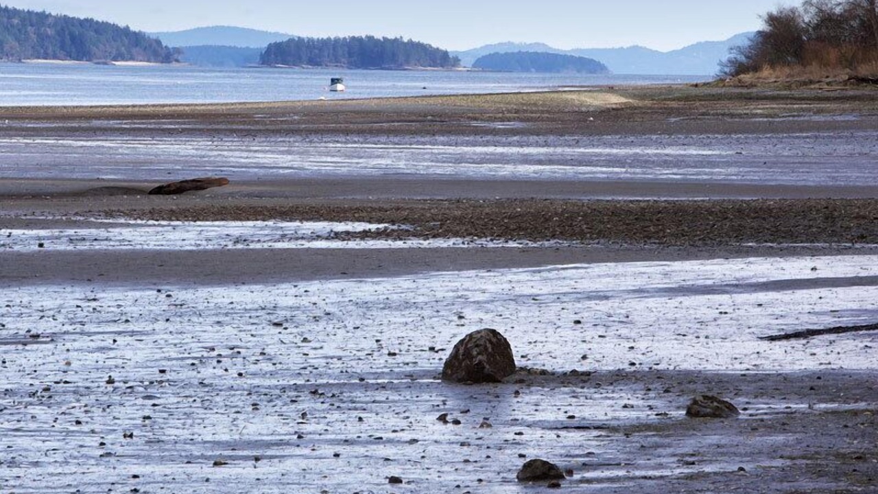 Photo of Others in Salt Spring Island