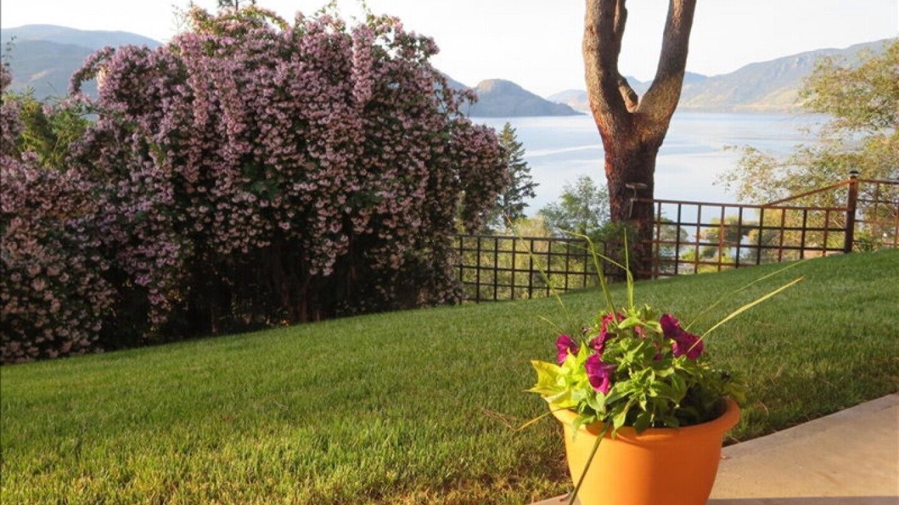 Photo of Others in Central Okanagan