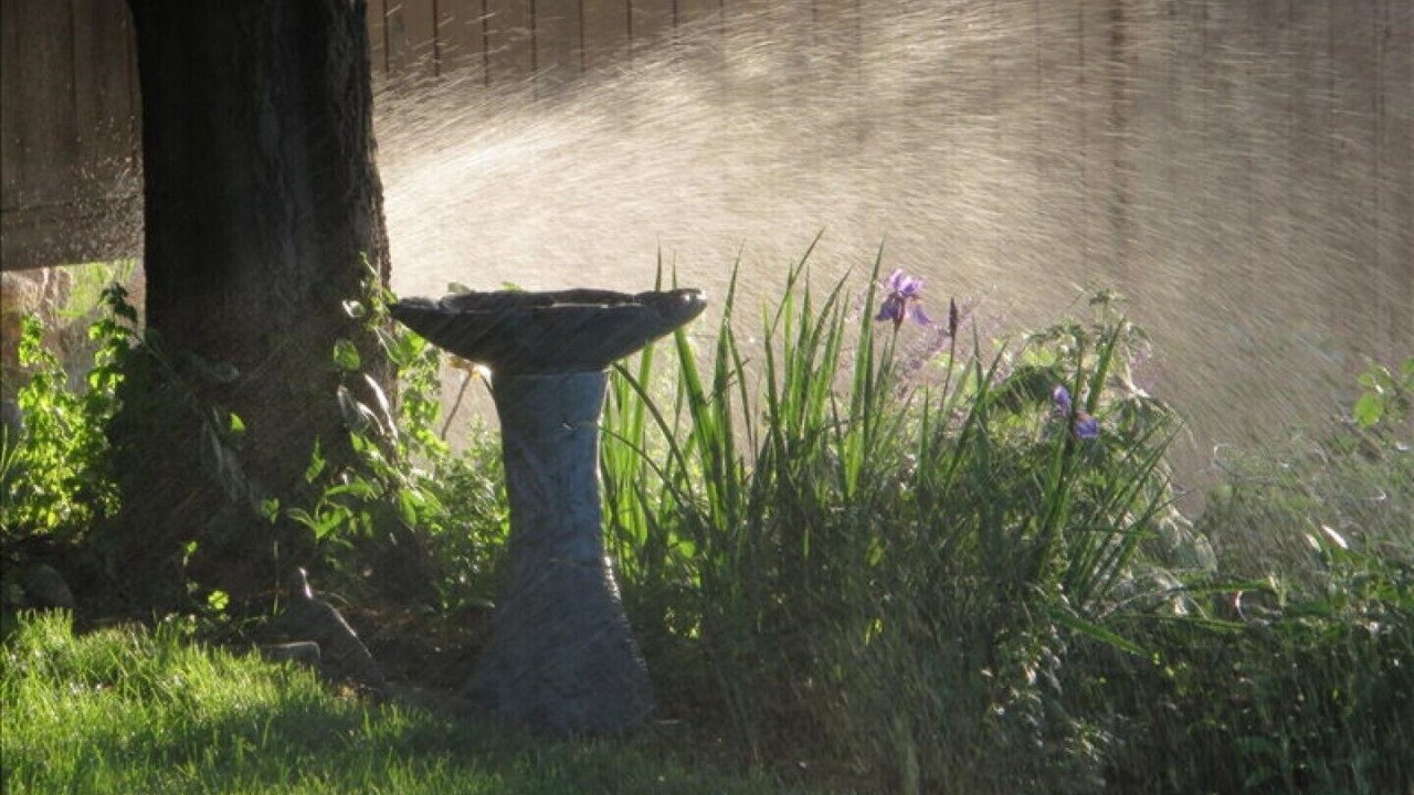 Photo of Outdoor in Central Okanagan