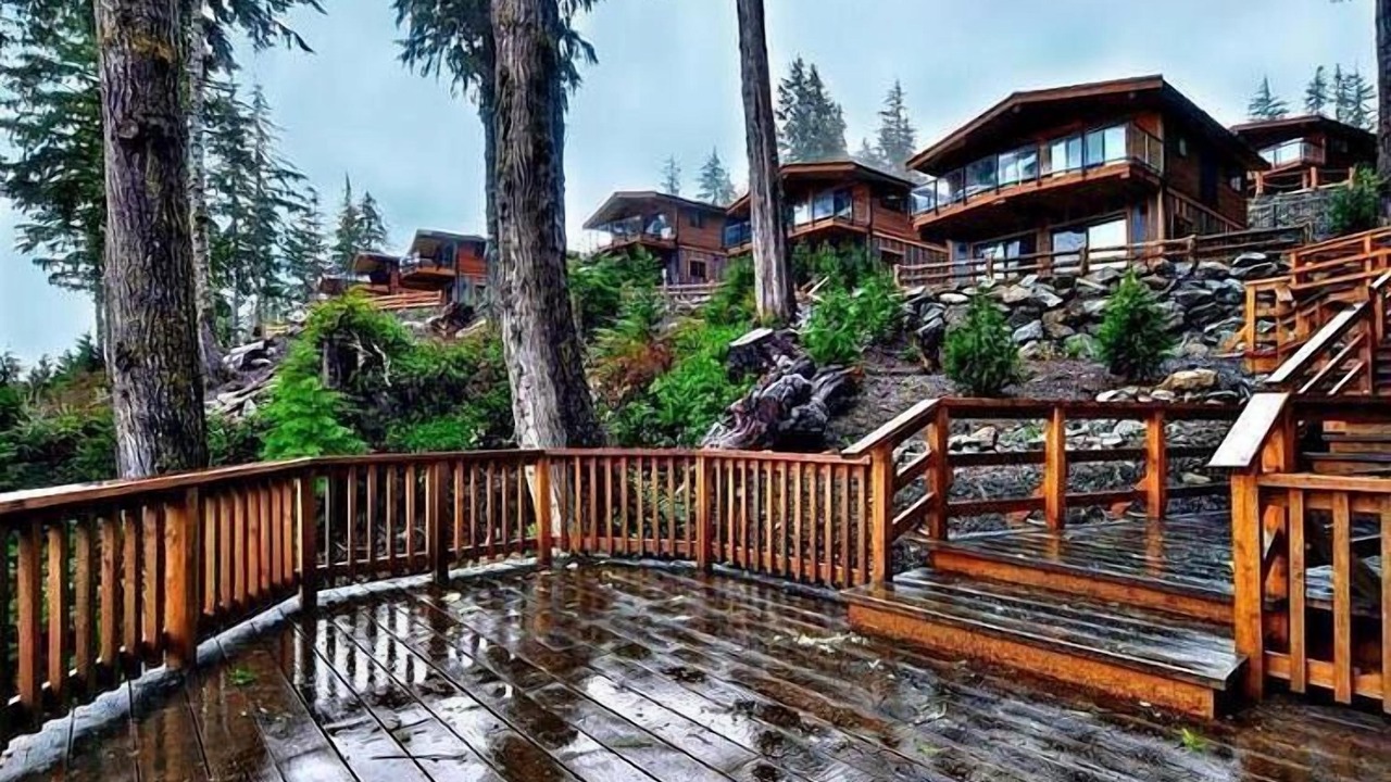 Photo of Others in Port Renfrew