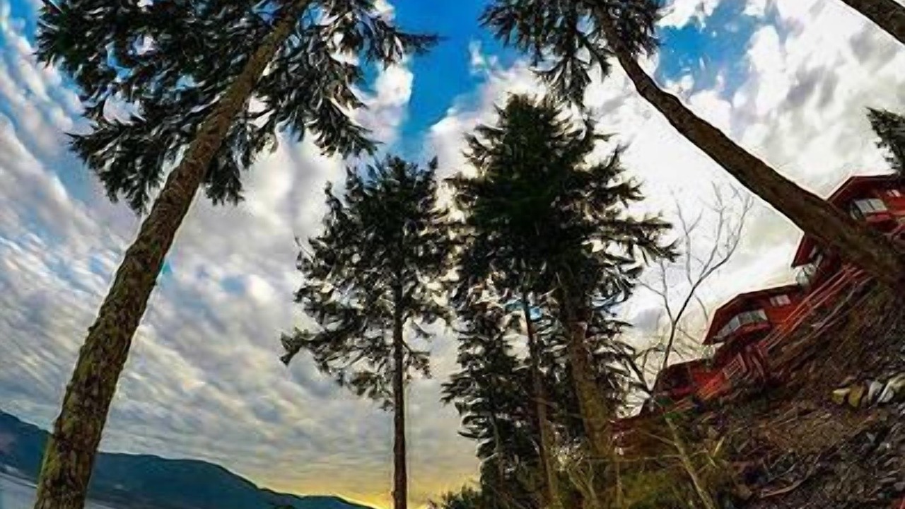 Photo of Outdoor in Port Renfrew