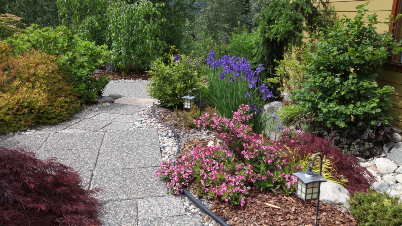 Photo of Outdoor in Nelson