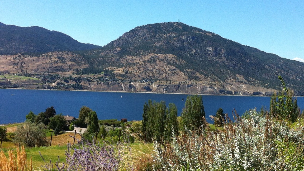 Photo of Others in Central Okanagan