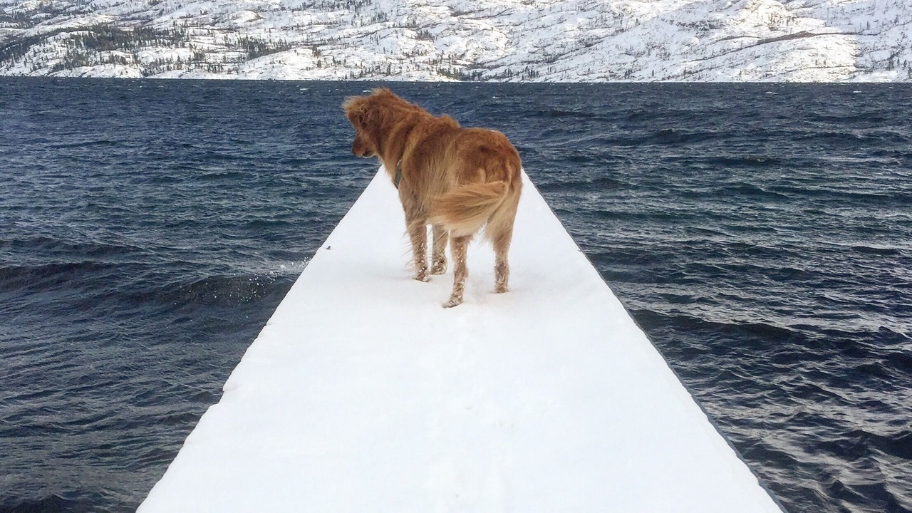 Photo of Others in Central Okanagan