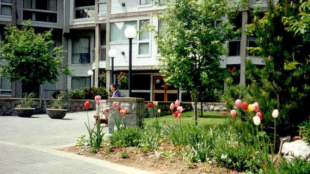 Photo of Others in Upper Village