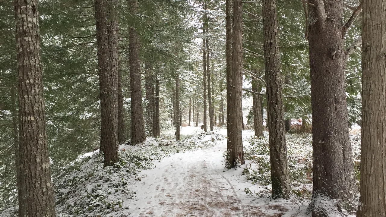 Photo of Others in Pinecrest Estates