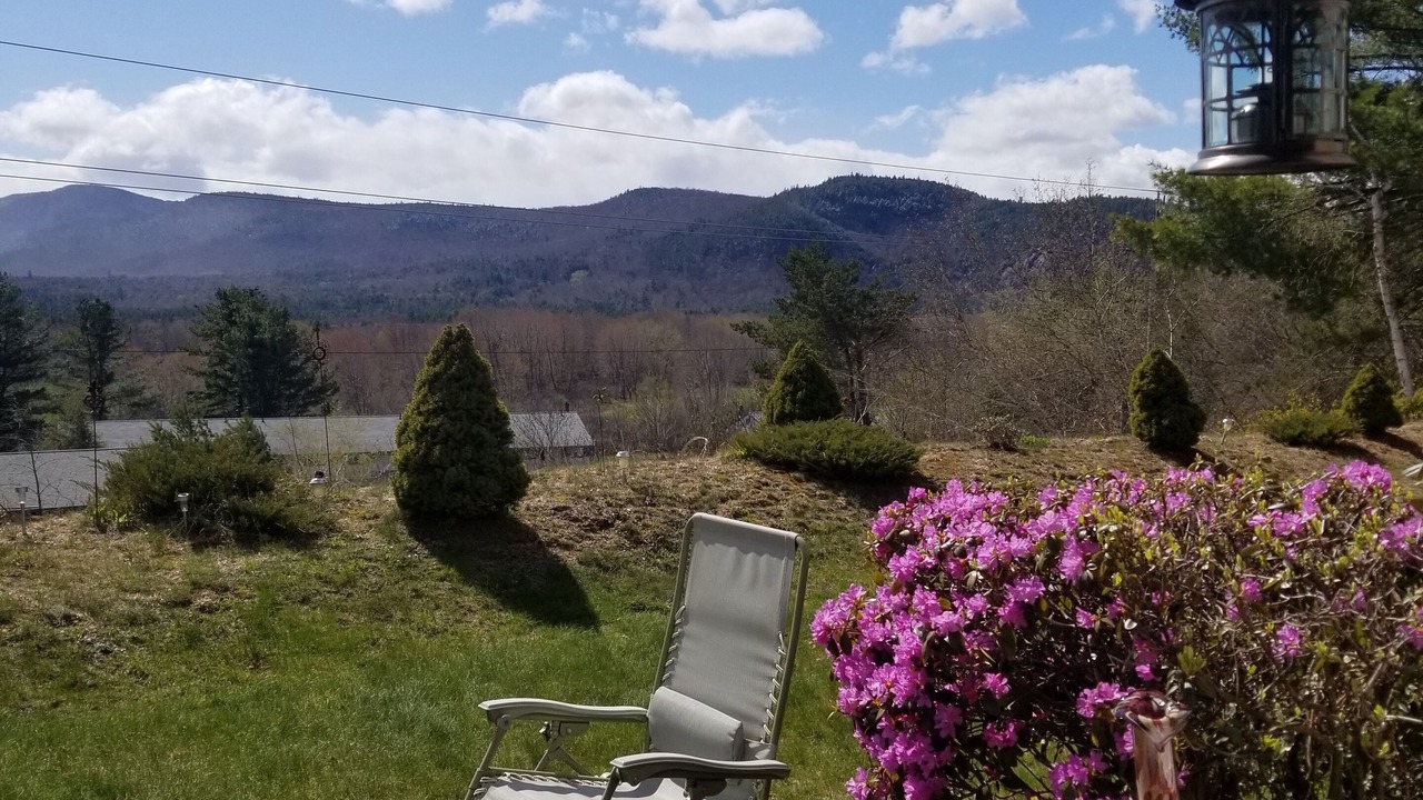 Photo of Others in Intervale