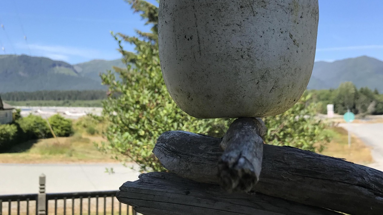 Photo of Others in Port Renfrew