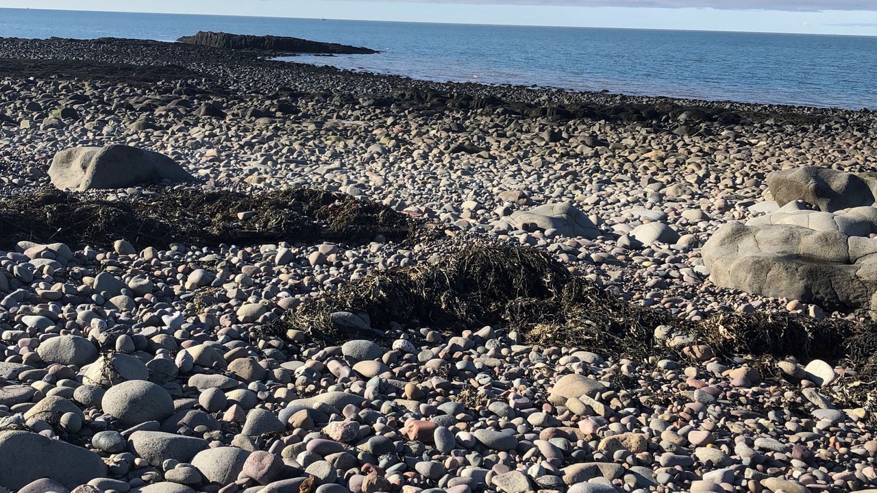 Photo of Others in Parkers Cove
