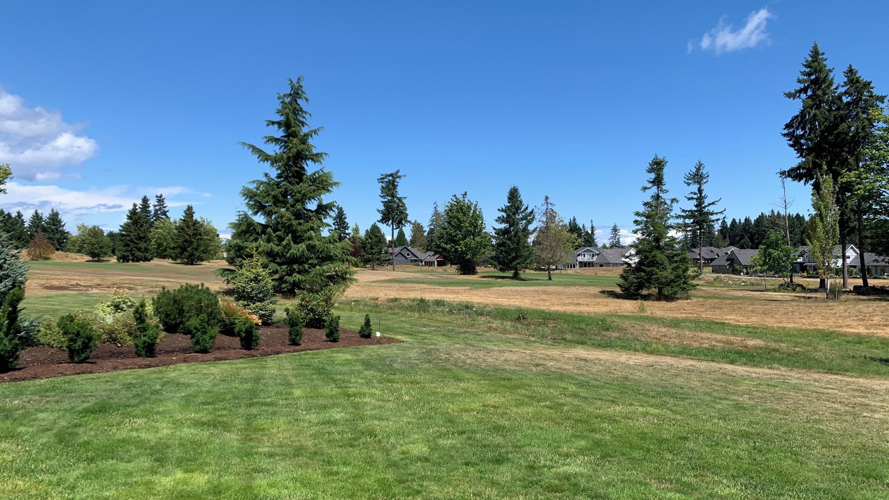 Photo of Outdoor in Comox