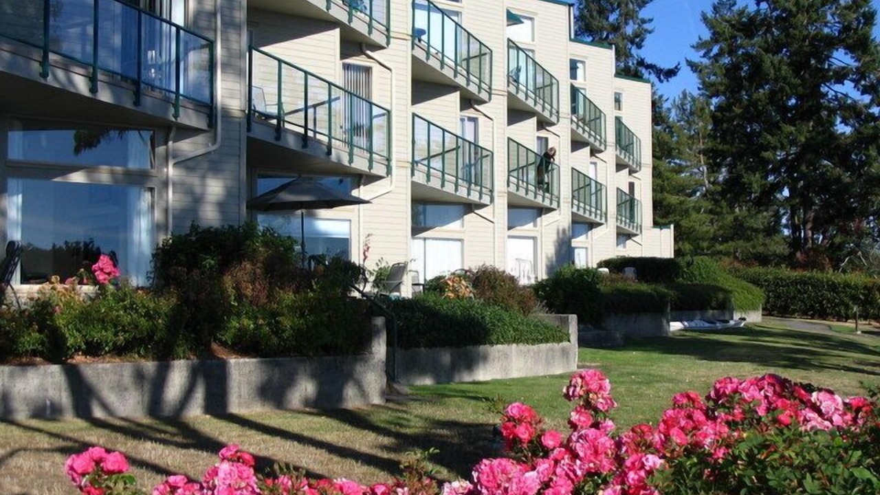 Photo of Outdoor in North Oyster