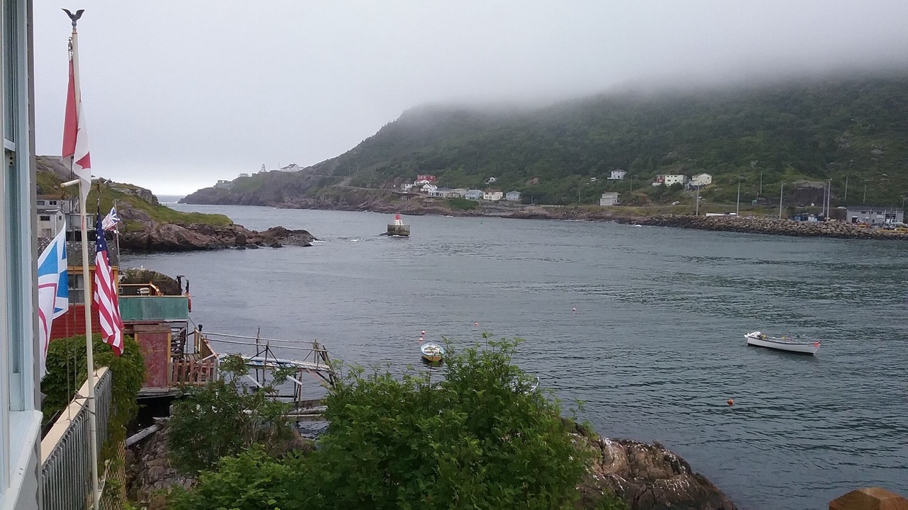 Photo of Others in Downtown St. John's