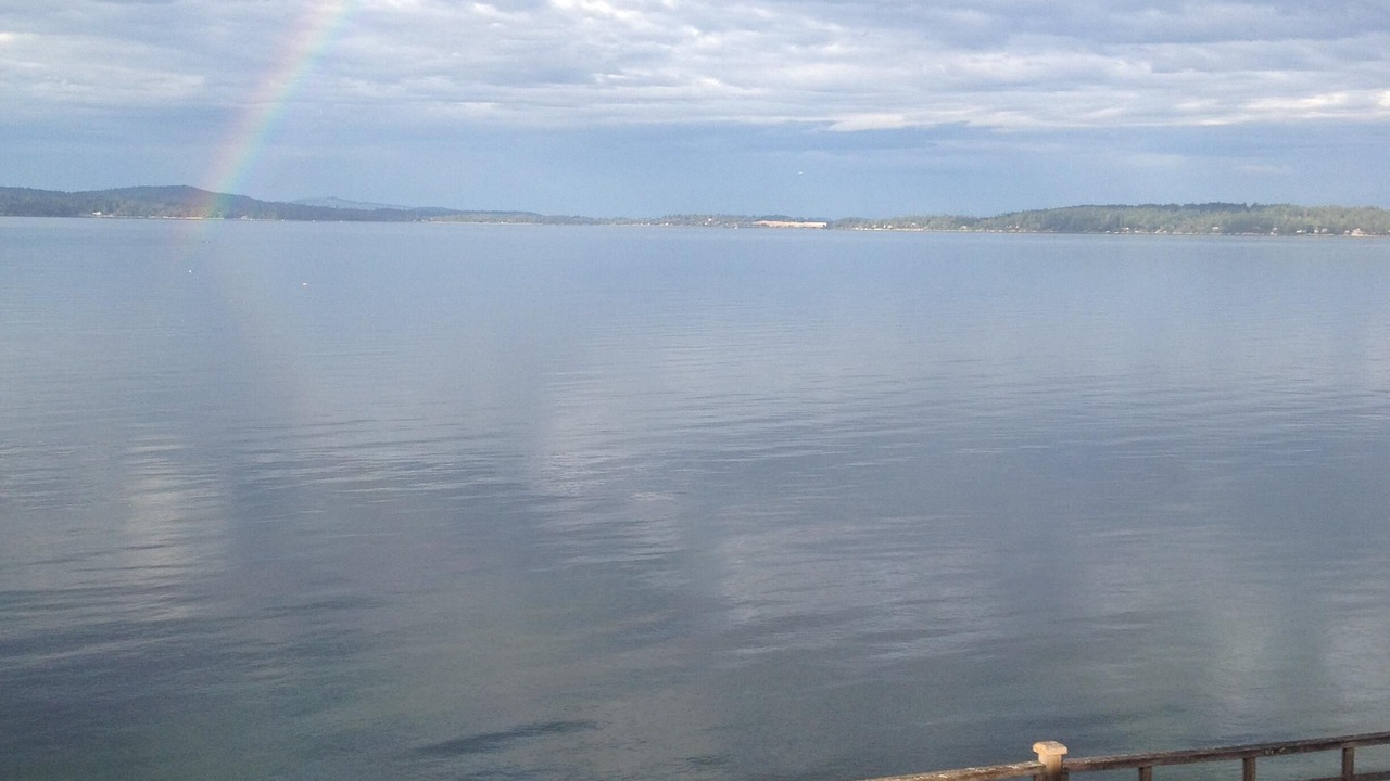 Photo of Others in Mill Bay