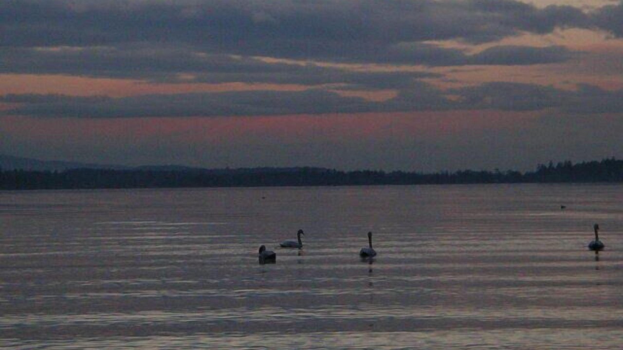 Photo of Others in Mill Bay